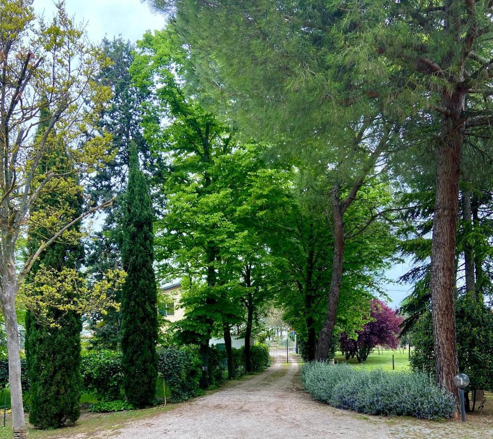 Casale Del Fattore Чезена Экстерьер фото